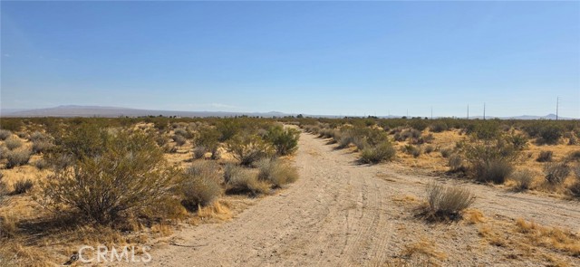 Front Image Thumbnail for CRSR26227725