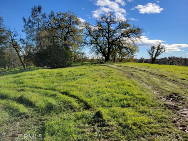 Detail Gallery Image 1 of 1 For 16455 Oakridge Rd, Corning,  CA 96021 - – Beds | – Baths