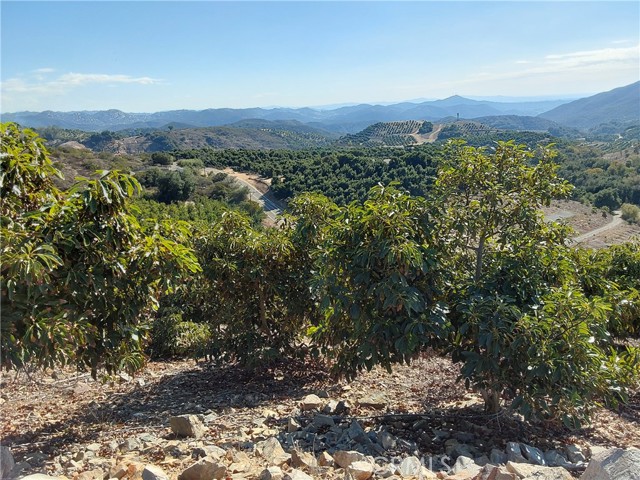 Detail Gallery Image 18 of 38 For 3 via Vaquero, Temecula,  CA 92590 - – Beds | – Baths