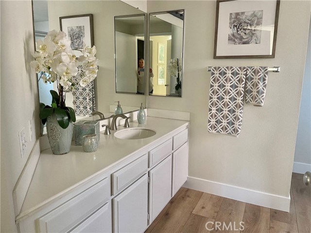 Master Bathroom Vanity