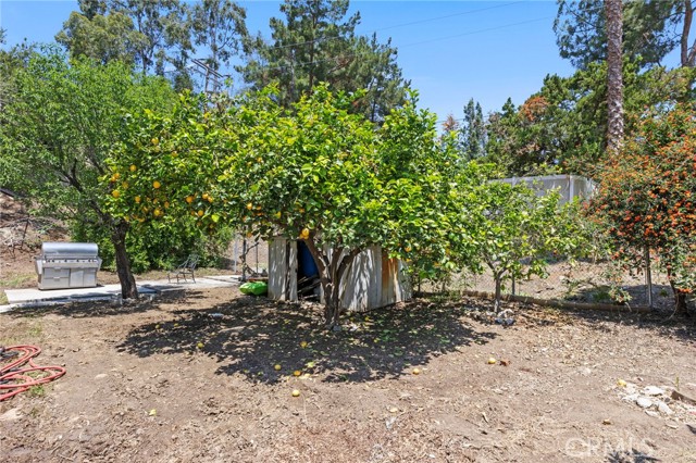 23994 Prado Lane, Colton CA: https://media.crmls.org/medias/cd727b48-0621-42ba-8dda-fcb2ee7ea1e5.jpg