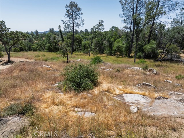 Detail Gallery Image 19 of 19 For 3 Acres Serendipity Ln, Coarsegold,  CA 93614 - – Beds | – Baths