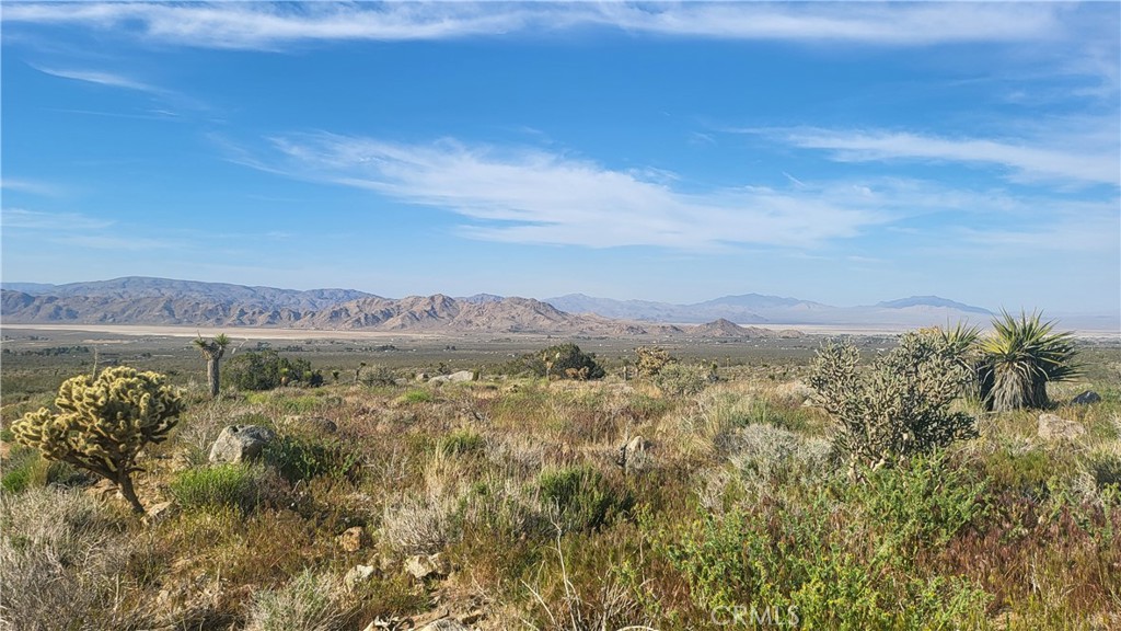 0 Near County Rd 0451-381-40, Lucerne Valley, CA 92356