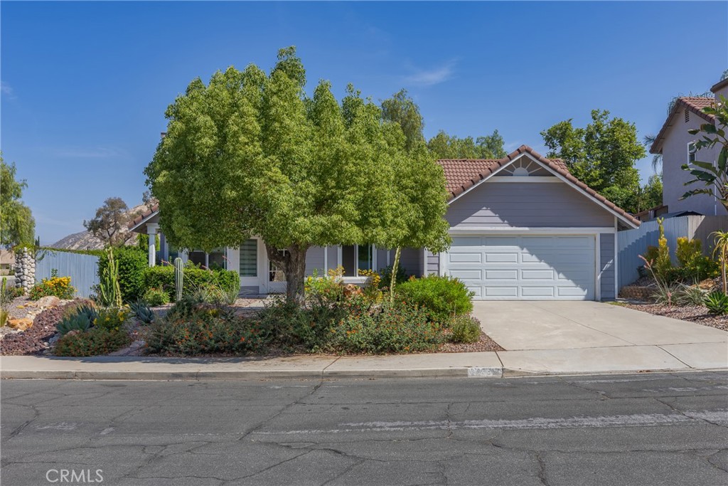 24538 Meadow Grass Way
