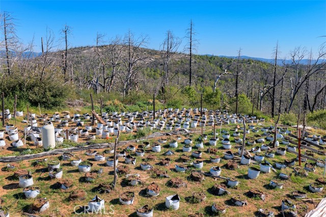 Detail Gallery Image 15 of 20 For 0 Four M Ct, Berry Creek,  CA 95916 - – Beds | – Baths