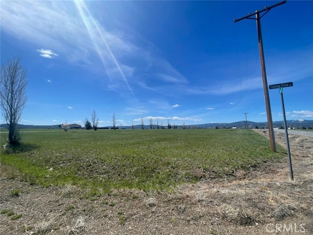 0 Yellow Pine Drive, Alturas, California 96101, ,Land,For Sale,0 Yellow Pine Drive,CROC23191882