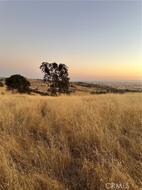 Detail Gallery Image 5 of 9 For 9775 Paraiso Bld, La Grange,  CA 95329 - – Beds | – Baths