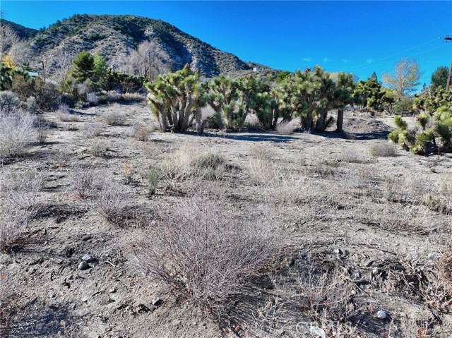 Detail Gallery Image 6 of 15 For 7325 Desert Front Rd, Pinon Hills,  CA 92397 - – Beds | – Baths