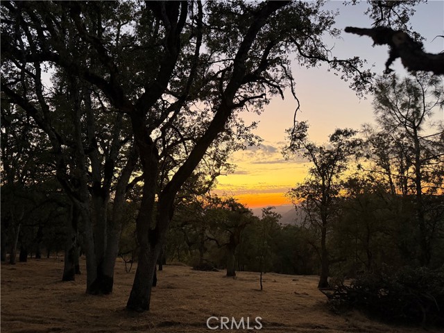 Front Image Thumbnail for CRMP26170986