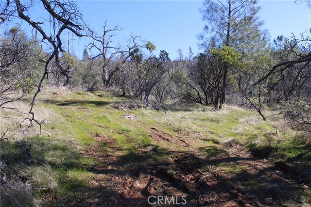 Detail Gallery Image 28 of 35 For 0 Condor Rd, Oroville,  CA 95965 - – Beds | – Baths