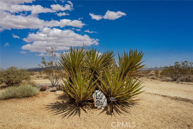 Detail Gallery Image 36 of 36 For 55921 Ornelas Ln, Landers,  CA 92285 - 2 Beds | 2 Baths