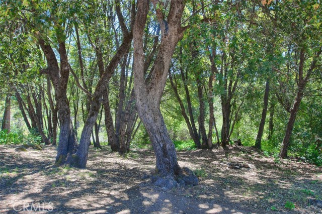 Detail Gallery Image 36 of 48 For 2843 E Westfall Rd, Mariposa,  CA 95338 - 2 Beds | 2 Baths