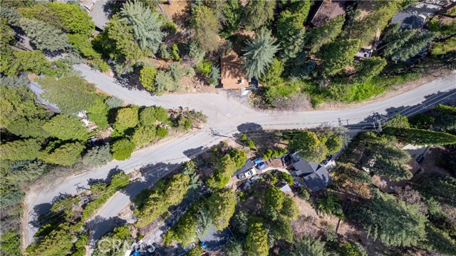 Detail Gallery Image 22 of 26 For 26131 Lake Forest Dr, Twin Peaks,  CA 92391 - 3 Beds | 3 Baths