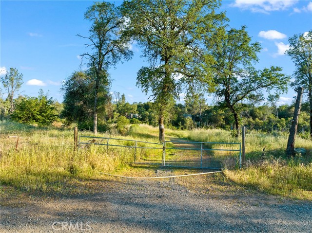 Detail Gallery Image 11 of 15 For 205 Maple Ln, Oroville,  CA 95966 - – Beds | – Baths