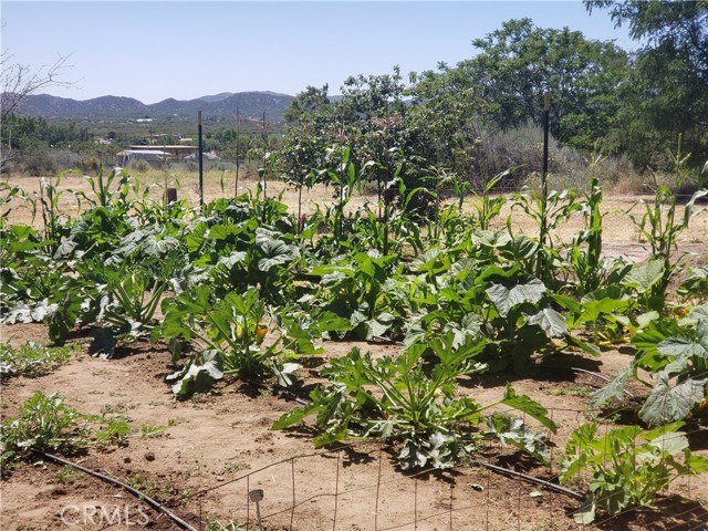 Detail Gallery Image 61 of 74 For 57745 Bailey, Anza,  CA 92539 - 3 Beds | 2 Baths