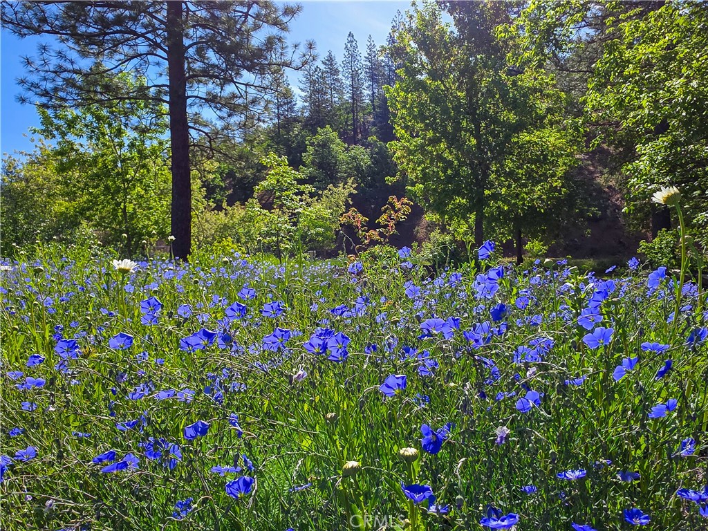 https://media.crmls.org/medias/cda43d19-e4cd-4782-9014-bf5e75f7ea92.jpg?preset=X-Large