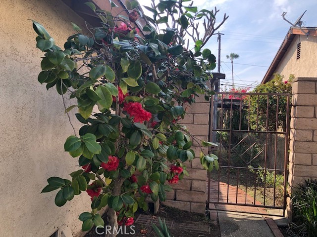 Front Image Thumbnail for CRAR26052949