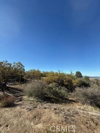 MLS #SW25227735 image #10