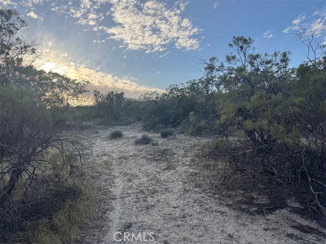 0 Springbrook Trail, Anza CA: https://media.crmls.org/medias/cdaf3416-9e10-4570-9319-75246bf25c6c.jpg