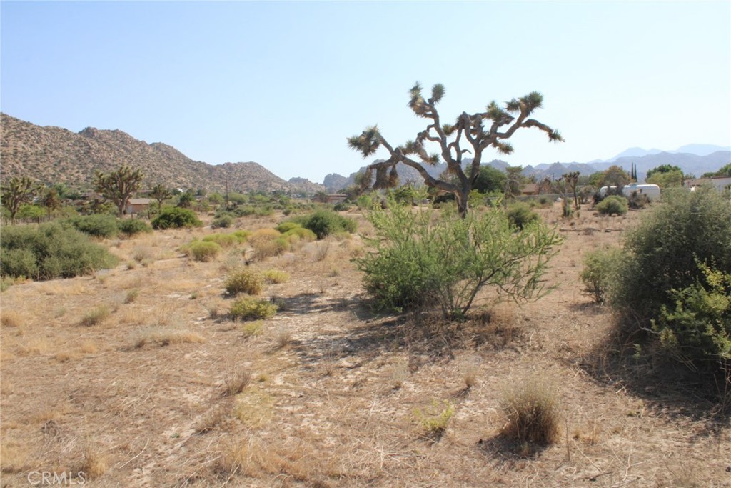 MLS #CV25150716 image #2
