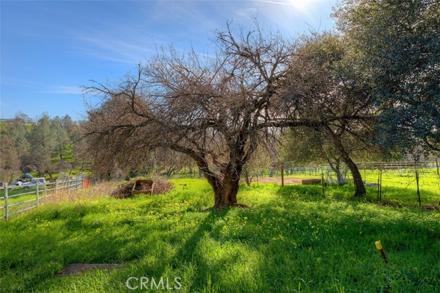 Detail Gallery Image 44 of 52 For 2454 Oro Quincy, Oroville,  CA 95966 - 2 Beds | 2 Baths