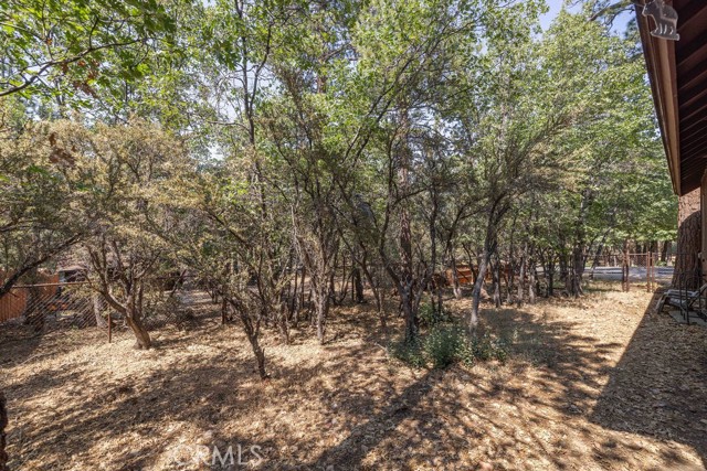 Detail Gallery Image 8 of 31 For 790 Pine Ln, Sugarloaf,  CA 92386 - 2 Beds | 1 Baths