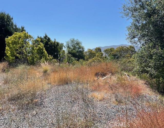 0 Daisy, Fallbrook, California 92028, ,Residential Land,For Sale,Daisy,ND24120516