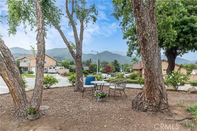 823 Fowler Avenue photo 4