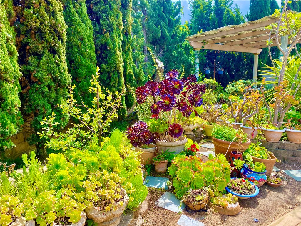 https://media.crmls.org/medias/cdcb8329-43ad-4bd3-afee-41e3f683bc43.jpg?preset=X-Large