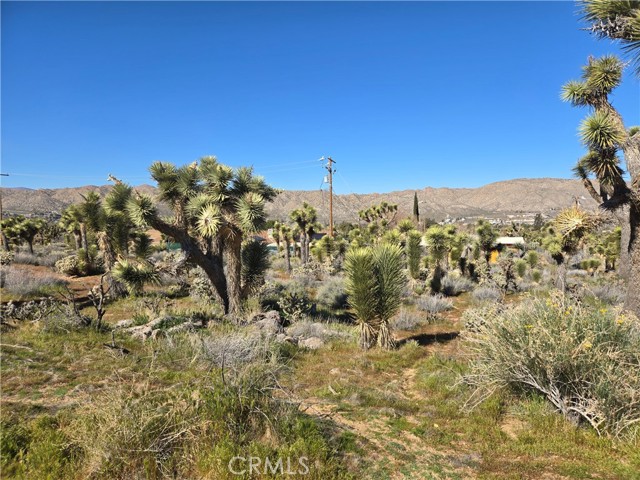 Detail Gallery Image 2 of 4 For 55000 Bunny Rd, Yucca Valley,  CA 92284 - – Beds | – Baths