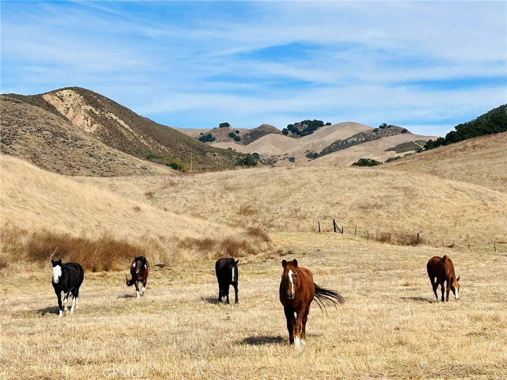 https://media.crmls.org/medias/cdd4df25-c5a0-4532-ae9d-21113957c7b5.jpg?preset=X-Large