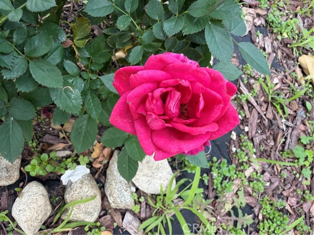 Detail Gallery Image 59 of 69 For 7863 Iroquois, Fontana,  CA 92336 - 4 Beds | 2/1 Baths