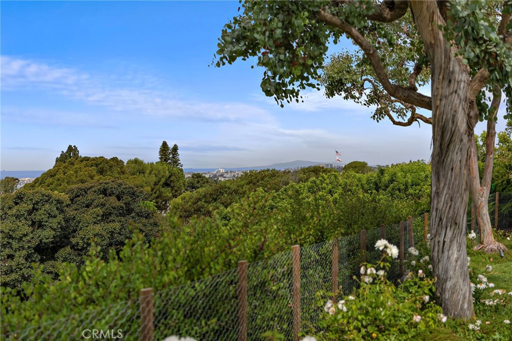 Cddfc839 9279 43da Ba73 A7f3cda0c115