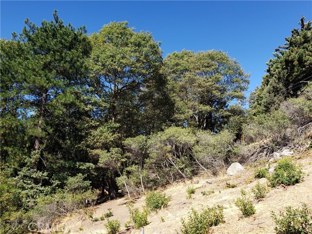 Detail Gallery Image 10 of 27 For 25134 Grandview Dr, Crestline,  CA 92325 - – Beds | – Baths