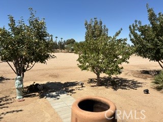 MLS #WS26175787 image #20