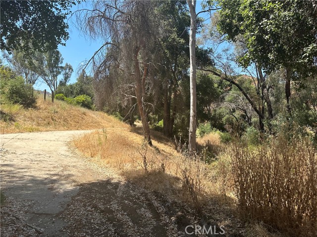 Detail Gallery Image 35 of 41 For 30100 Mulholland, –,  CA 91301 - – Beds | – Baths
