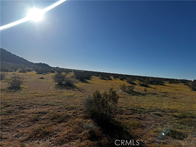 Detail Gallery Image 5 of 8 For 29 Pineridge Rd, Adelanto,  CA 92301 - – Beds | – Baths