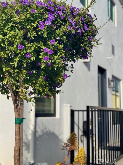 Detail Gallery Image 9 of 30 For 506 Clubhouse Ave #B,  Newport Beach,  CA 92663 - 5 Beds | 6 Baths