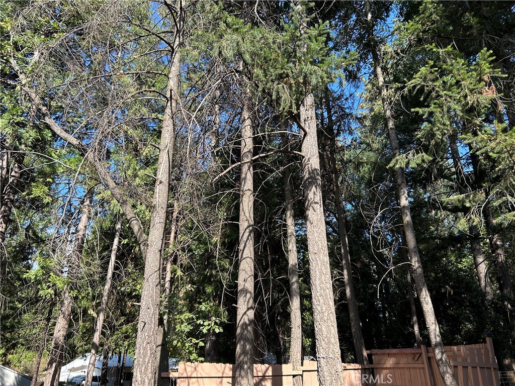 MLS #PA25227396 image #31