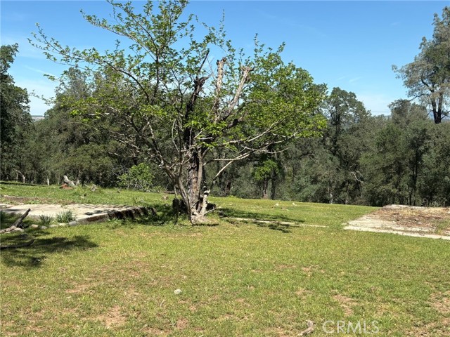 Detail Gallery Image 5 of 26 For 3465 Foothill Bld, Oroville,  CA 95966 - – Beds | – Baths