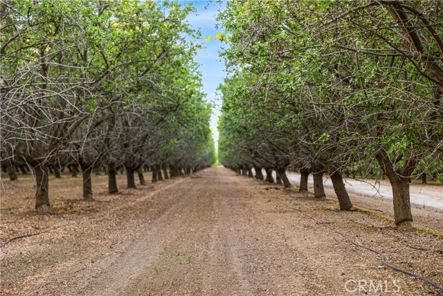 Detail Gallery Image 23 of 33 For 0 I5/Shields, Firebaugh,  CA 93622 - – Beds | – Baths