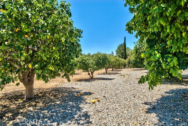 33310 Homestead Lane, Wildomar CA: https://media.crmls.org/medias/ce004016-c15b-400a-a32e-079d87a9110b.jpg