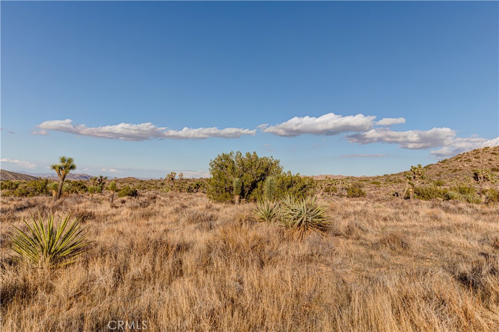 MLS #JT25229239 image #28