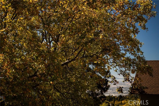 2461 Spring Oak Drive, Running Springs CA: https://media.crmls.org/medias/ce041d1f-b41d-489c-a408-4e94e2c56068.jpg