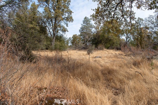 Detail Gallery Image 26 of 51 For 4343 Silver Lane Rd, Mariposa,  CA 95338 - 3 Beds | 2 Baths