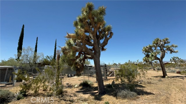 Detail Gallery Image 36 of 47 For 2975 La Habra Ave, Yucca Valley,  CA 92284 - 3 Beds | 2 Baths