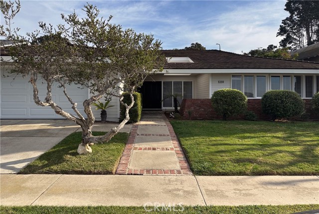 Front Image Thumbnail for CROC26016626