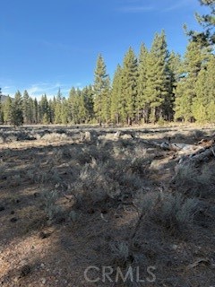 Detail Gallery Image 4 of 15 For 34557 Polique Canyon, Fawnskin,  CA 92333 - – Beds | – Baths