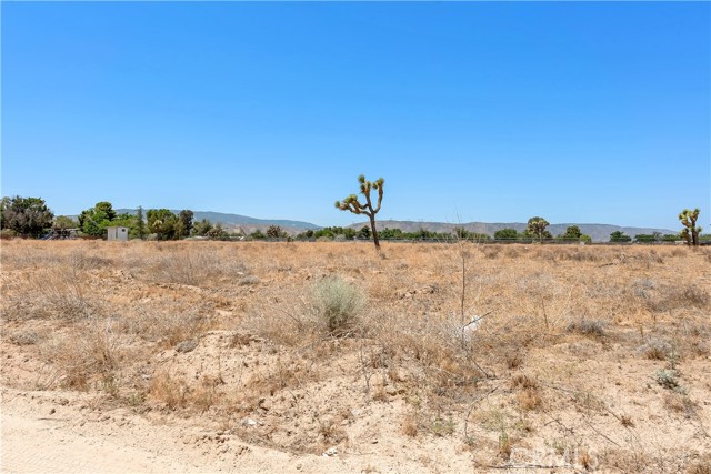 Palmdale, CA 93551