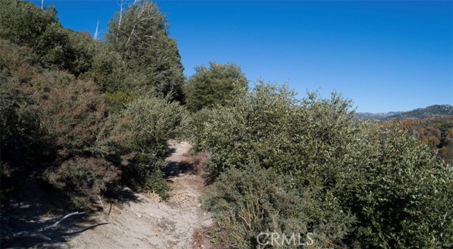 795 Eucalyptus Road, Lake Arrowhead, California 92352, ,Land,For Sale,795 Eucalyptus Road,CRRW23209652